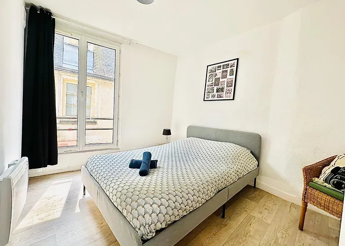 Studio Charme En Plein Centre-ville Wifi Et Parking Daire Le Mans