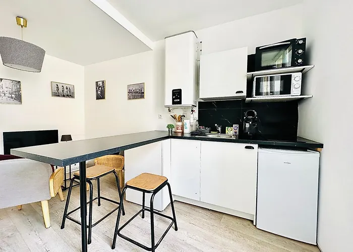 Daire Studio Charme En Plein Centre-ville Wifi Et Parking Le Mans